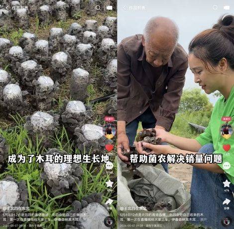 200万粉丝“王北四在东北”开启快手首播，吸引553万老铁在线围观GMV近千万  第3张