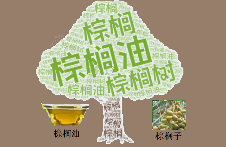 棕榈油期货连涨背后隐藏了什么？揭秘市场波动的奥秘！  第1张