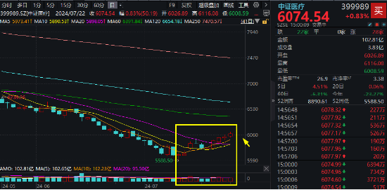 CXO、医疗设备联袂拉涨，医疗ETF（512170）逆市斩获四连阳！公募基金医药持仓降至冰点，机构：有望企稳回升  第1张