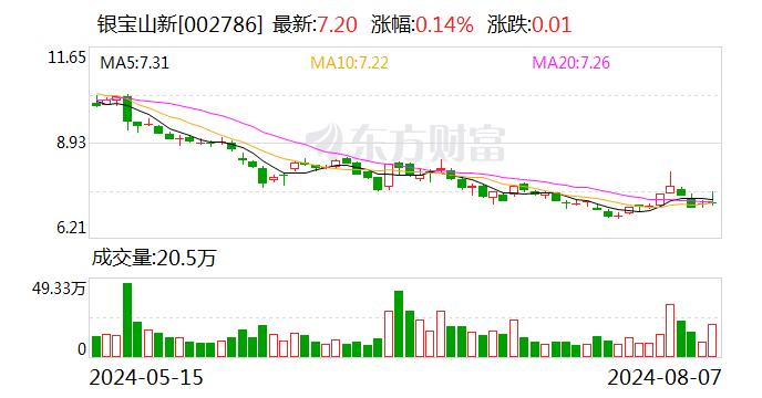 银宝山新：8月23日召开第二次临时股东大会  第1张