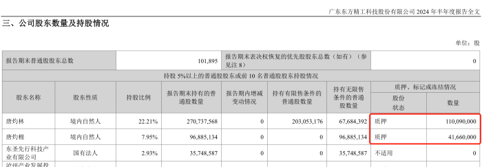 东方精工分拆百胜动力上市！实控人的大额资金往来遭疑，未上市先大额股权质押  第5张