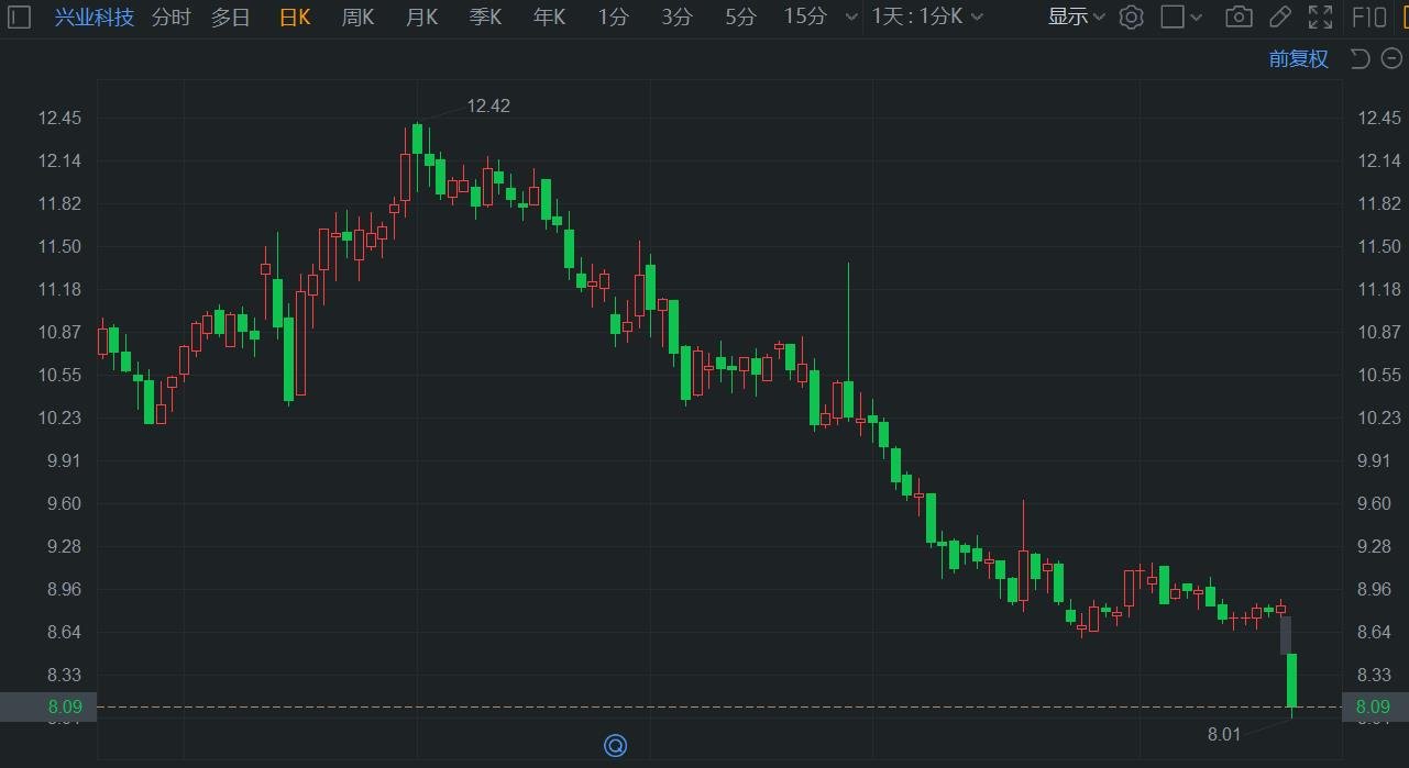 A股异动 | 兴业科技跌超8% 上半年增收不增利