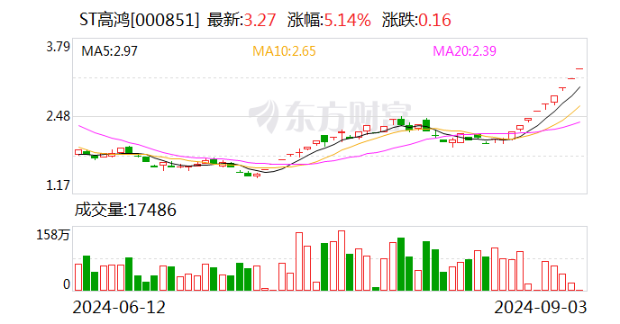 ST高鸿：公司及相关当事人受到深交所公开谴责