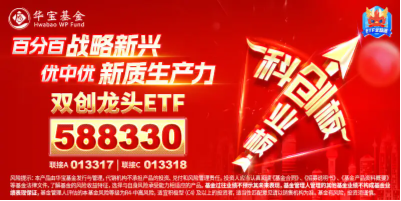 南都电源双重突破，固态电池再火爆！双创龙头ETF（588330）单日涨近1%，机构：降息交易建议关注科技成长  第4张