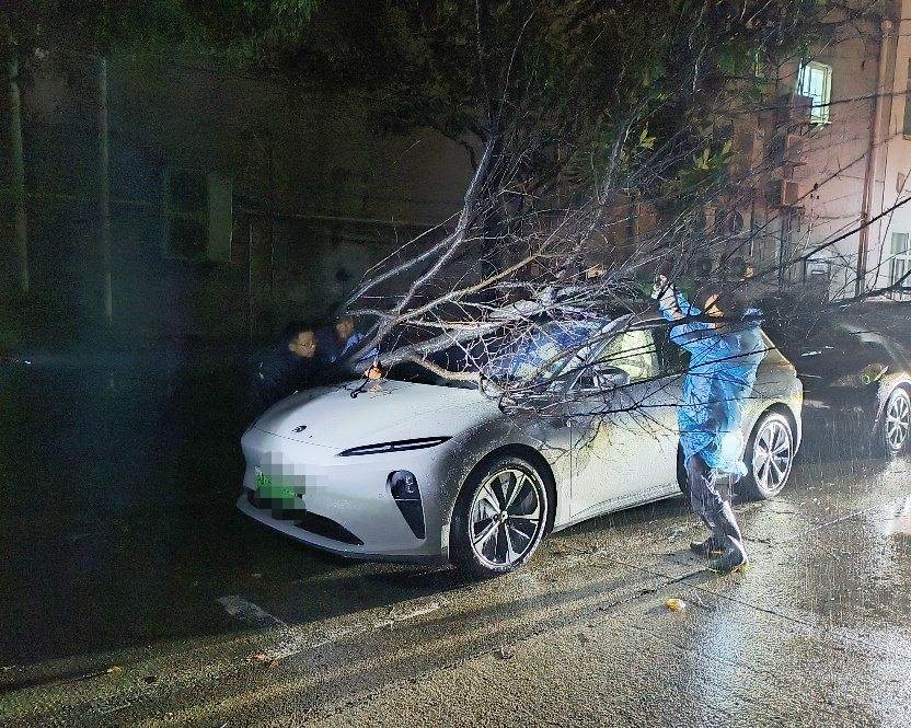 迎战“贝碧嘉”，他们在风雨中加速逆行