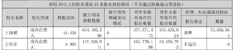 美盈森实控人同意偿还逾10亿元债务，所持全部股份仍冻结