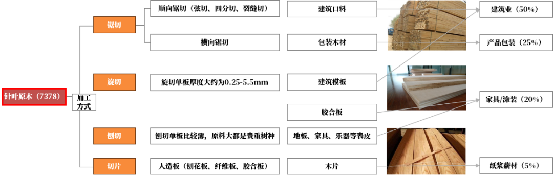 【原木专题】木本水源：原木期货上市预热——供需结构篇  第11张